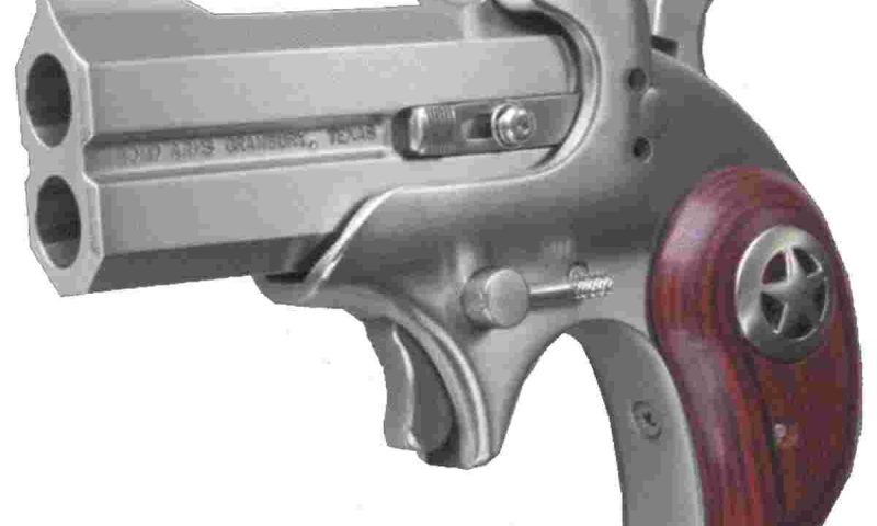 COWBOYDEFENDER STS .45/.410 ROSE