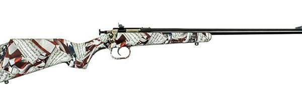 Keystone Crickett Rifle .22 LR Single Shot 16.125" Blued Barrel Synthetic Stock Amendment