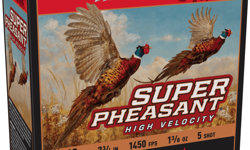 Image Full 5078 Fc2c2620bf142baa66d8b5d79b1a43df