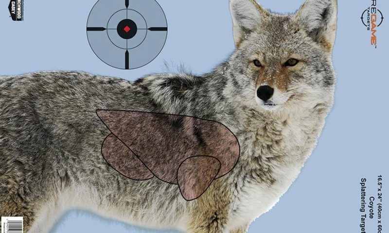 Birchwood Casey Pregame Targets - Coyote 16.5"x24" 3 Pack