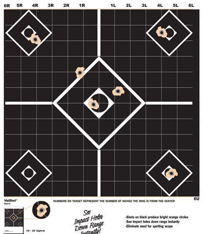 Champion VisiShot Targets Sight-In Target - 13" X 18" 10/Pack