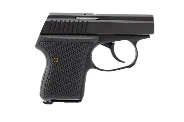 Seecamp LWS-32 Handgun 32 Auto 6rd Magazine 2" Barrel DAO Black Slide Black Grip