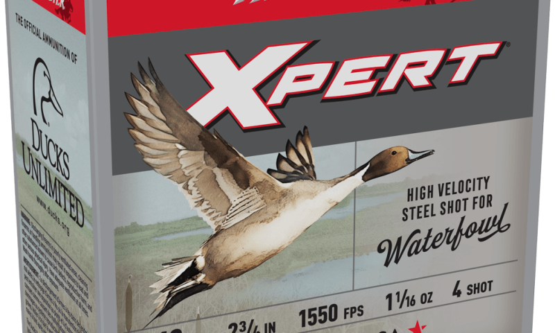 Image Full 5654 9e6ebb88720e0e4075f25ee45db04559